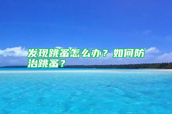 發現跳蚤怎么辦？如何防治跳蚤？