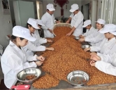 四害消殺：食品、加工行業