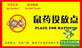 老鼠入室如何消滅？滅鼠公司專業分析